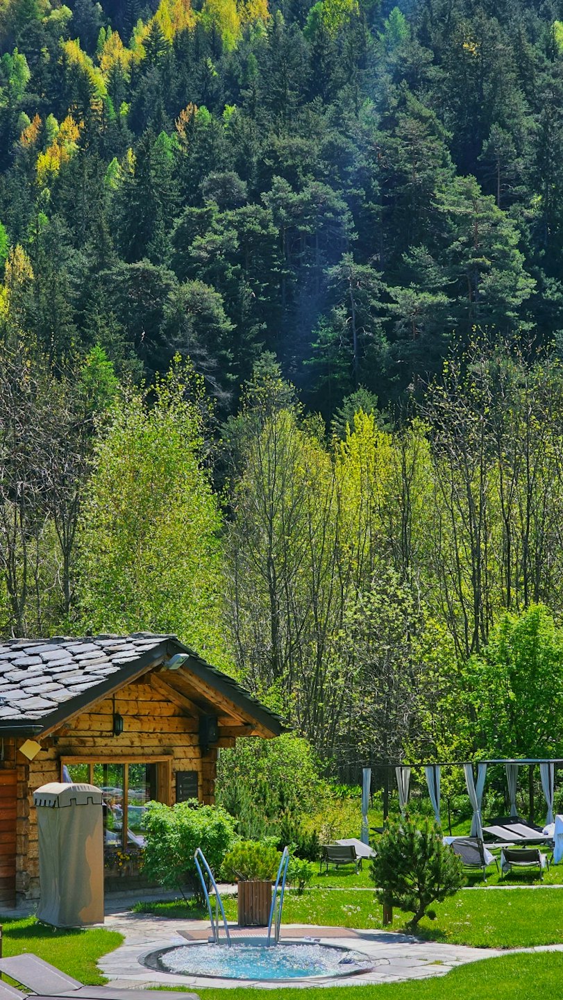 Hot tub on stone patio next to cabin with mountain forest.